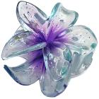 Violeta
