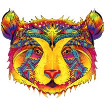 Koka puzle - Color Bear/M
