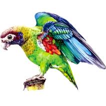 Koka puzle - Macaw / L